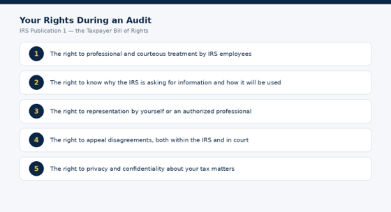 Five of the ten core rights that apply throughout an audit.